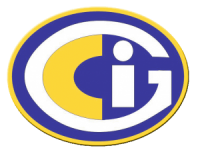 logo globeconsulindo-300x240